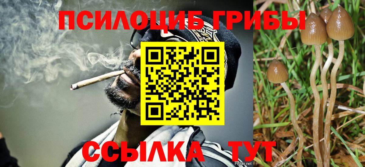 Галлюциногенные грибы мухоморы Славгород